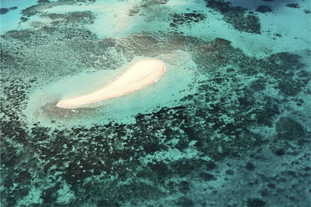 Great Barrier Reef tours