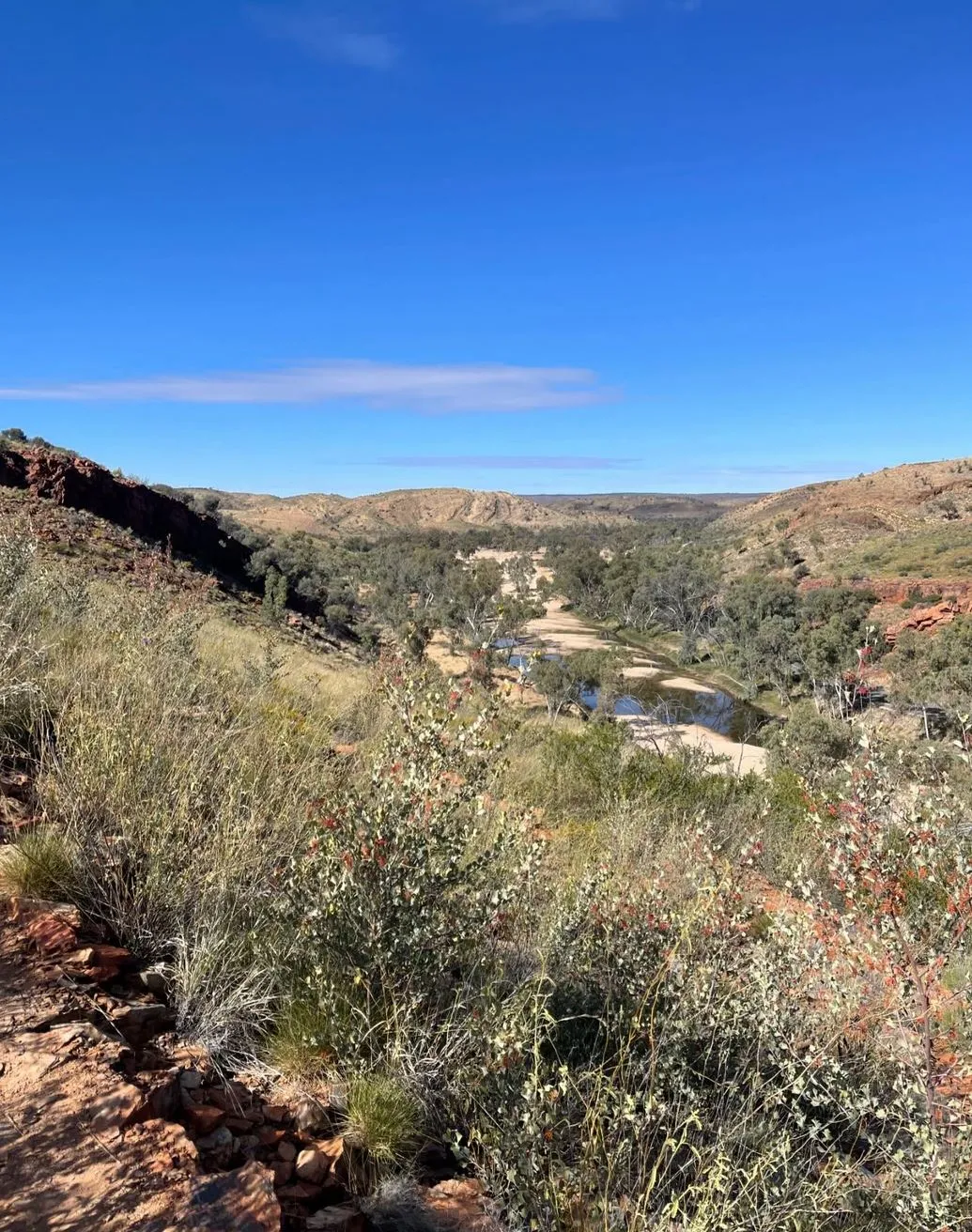 Larapinta Trail Cost Guide: Budgeting Your Epic Hike