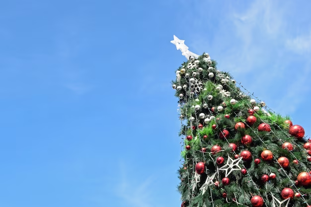Top 10 christmas holiday destinations Australia