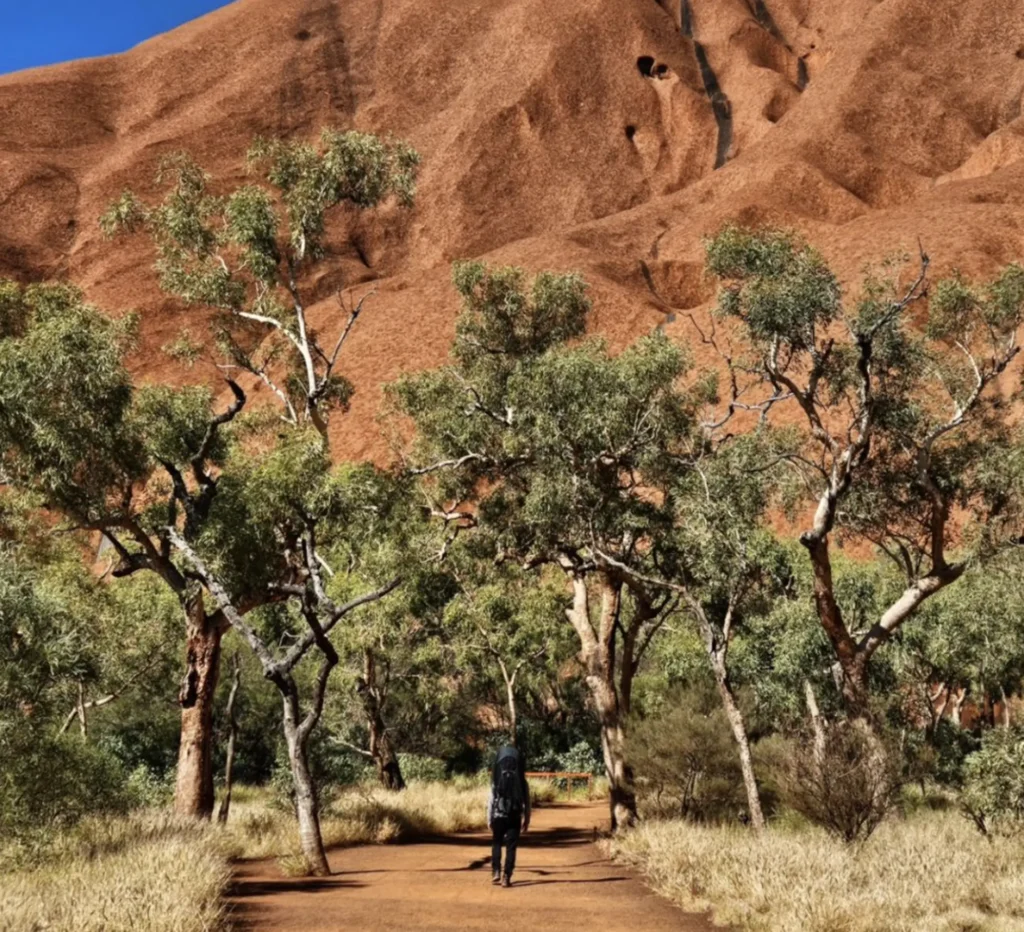 from Alice Springs to Uluru